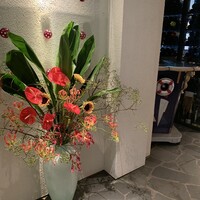 ツキ シュール ラメール - 