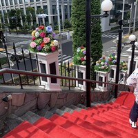 ツキ シュール ラメール - 