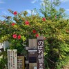 のばれ岬観光農園