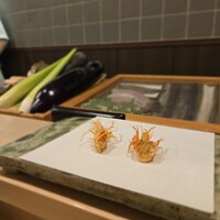 天白 - 