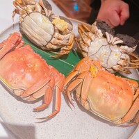 中国飯店 市ヶ谷店 - 
