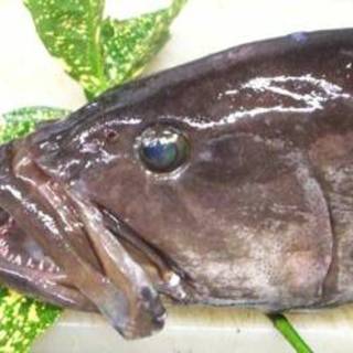 割烹 しまもと_2