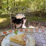 Kyukaruizawa Cafe Suzunone