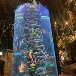 レインフォレストカフェ・トーキョー - 