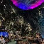 レインフォレストカフェ・トーキョー - 