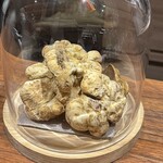 イル アオヤマ - 