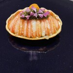 イル アオヤマ - 