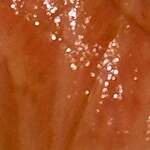 寿し おおはた - 