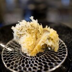 とんかつ 蒼樹 - 