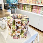 YOTSUBA TEA - お土産