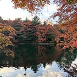 Cafe St. Maire KUMOBA - 