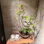 お酒と博多小皿 たなかだ - 