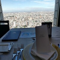 サンシャイン クルーズ・クルーズ - ひとりでも窓際は座れます!