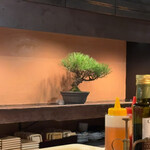 交番通り 四十 - 盆栽も置いてあるｗ