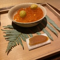 弧玖 - 