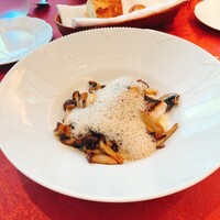 キノシタ - 