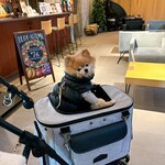 レジーナリゾート旧軽井沢 - 