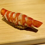 鮨仙八 - 車海老