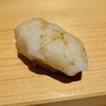 鮨仙八 - アオリイカ