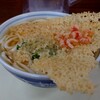 桃太郎本店 - 天ぷらうどん。