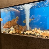 老香港酒家京都 - 