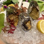 鉄板料亭 銀座まつさか - 