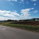 モナサンサール - 