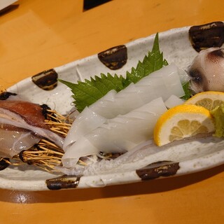 酒菜処 のさ庵_1