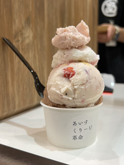 あいすくりーむ革命 - 西鉄福岡（天神）/ジェラート・アイスクリーム