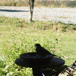 くつきそば 永昌庵 - 