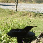 くつきそば 永昌庵 - 