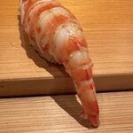 鮨 さかい - 海老