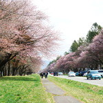 ねこや食堂 - 二十間道路桜祭に行く時にも寄れます