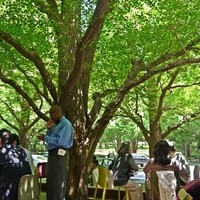 キハチ 青山本店 - 