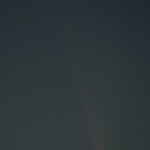 THE CITY BAKERY - 紫金山アトラス彗星。横浜市民の森から。夫、撮影。下の方にいます