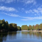 アナザープレイスカフェ  - 