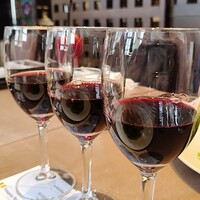 Russian Restaurant ROGOVSKI 銀座 - 赤ワインテイスティングセット
