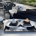 タリーズコーヒー - 