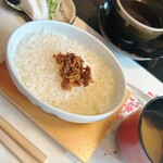 梅の花 - 