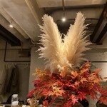 Japanese Ramen Noodle Lab Q - 