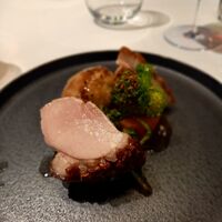 l'intemporel - 