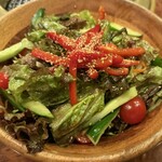 焼肉 スタミナ苑 - チョレギサラダ