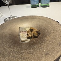 XEX TOKYO / Salvatore Cuomo Bros. - 