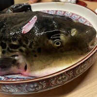法善寺 浅草 - 