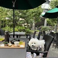 RESTAURANT 1899 OCHANOMIZU - 