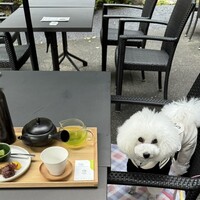 RESTAURANT 1899 OCHANOMIZU - 