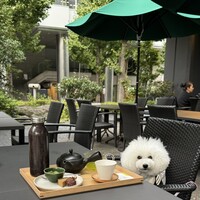 RESTAURANT 1899 OCHANOMIZU - 