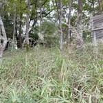 ゆずの木 ねむの木 みずたまの木 - 