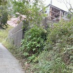 ゆずの木 ねむの木 みずたまの木 - 