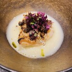 イル アオヤマ - 